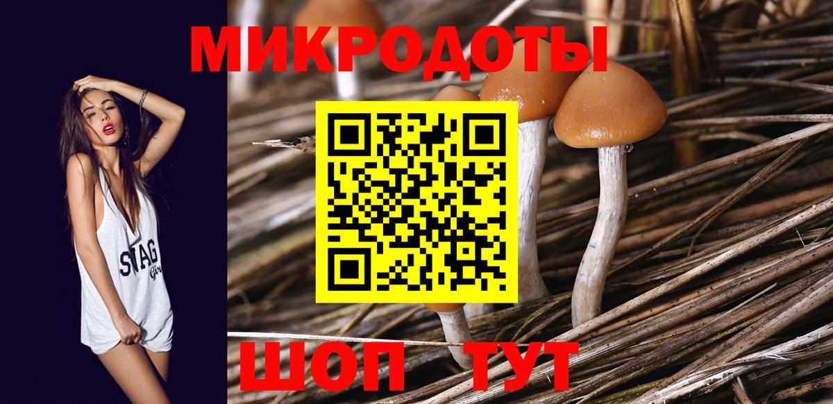 Псилоцибиновые грибы мицелий Гусиноозёрск