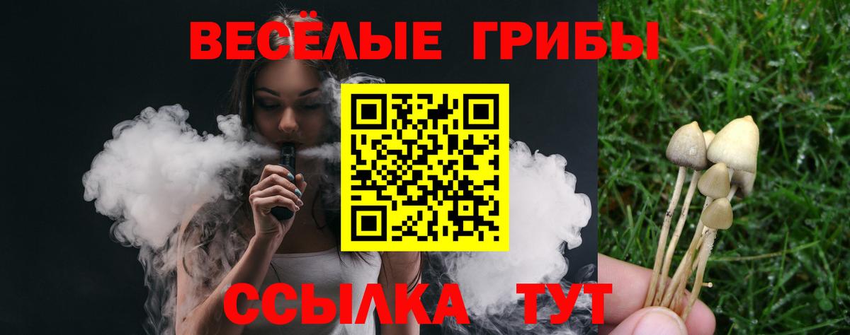 Галлюциногенные грибы ЛСД  Вход с VPN  Гусиноозёрск 